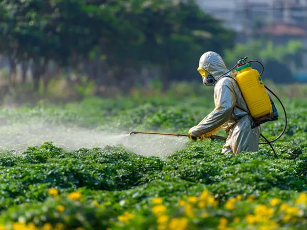 Spraying pesticide