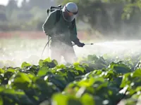 Farmer spraying pesticides
