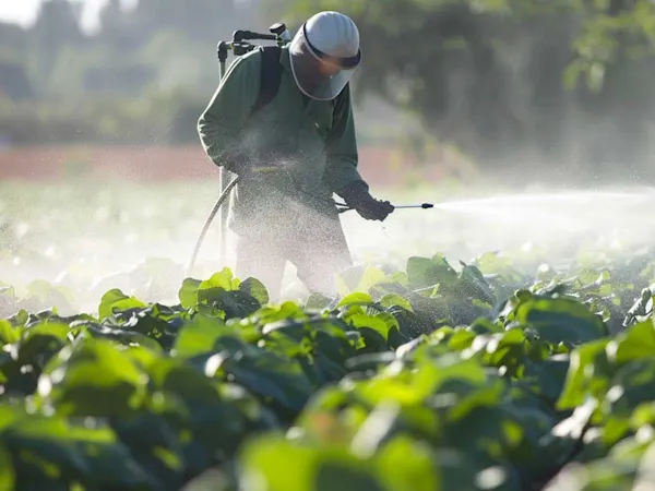 Farmer spraying pesticides