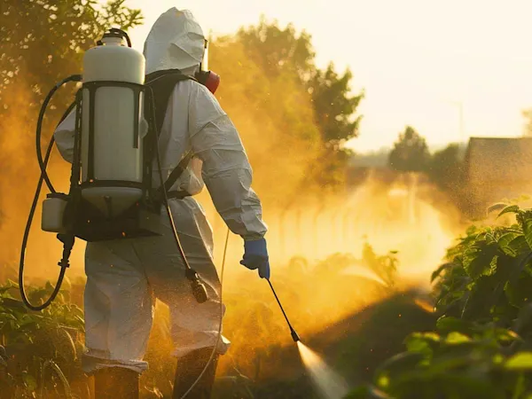 Person spraying pesticides