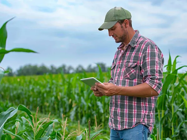 Farm worker in field with digital tablet