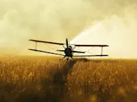 Spraying pesticides