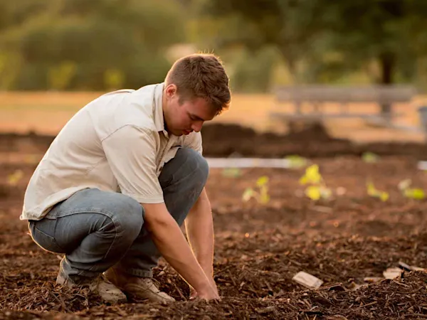 Farmer planting seeds in soil