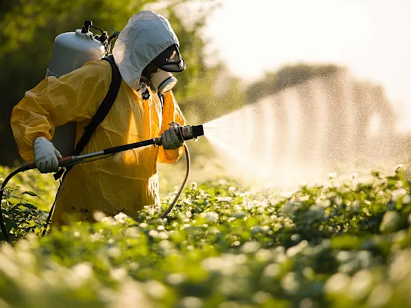 Spraying herbicides in a field