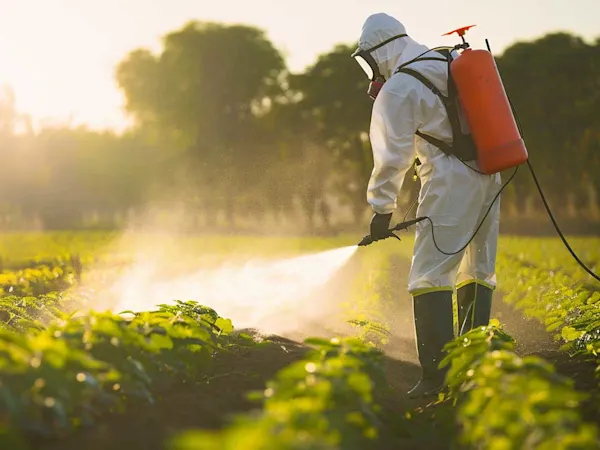Spraying pesticides in a field
