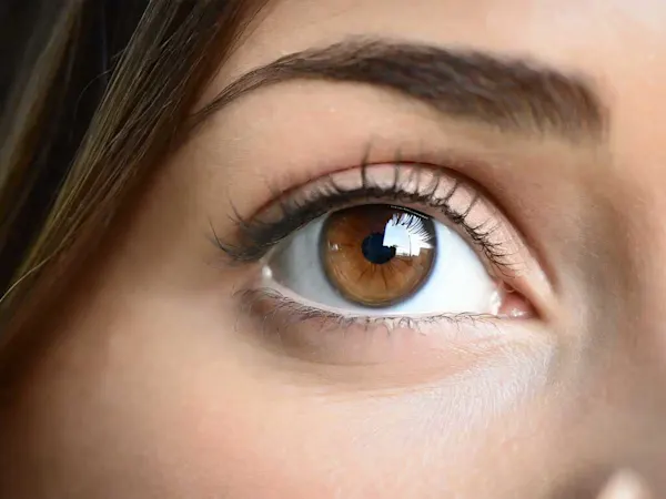 Close-up of a woman's eye