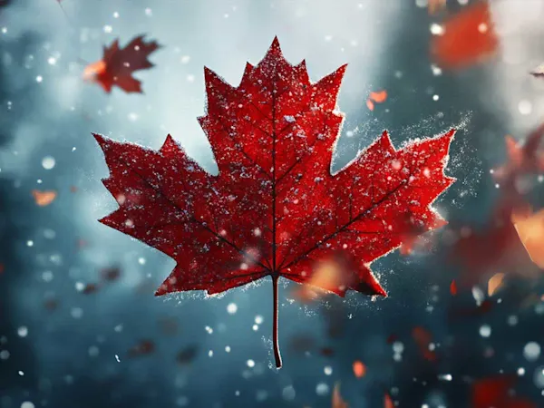 Canada maple leaf