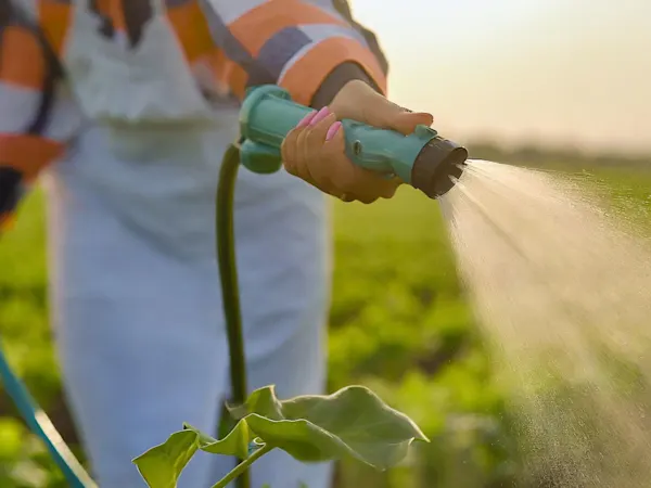Farmer spraying crops in a green field