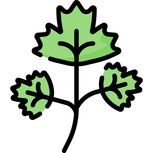Parsley (chopped)