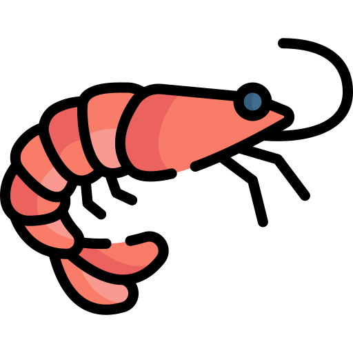 Shrimp