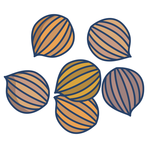 Coriander Seeds