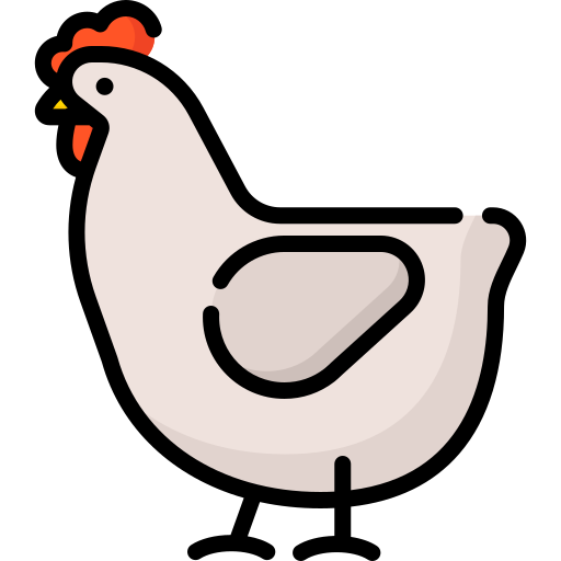 Chicken (pulled)
