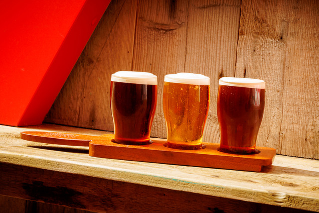 Autumn Trails and Festivals to Experience in Kilkenny