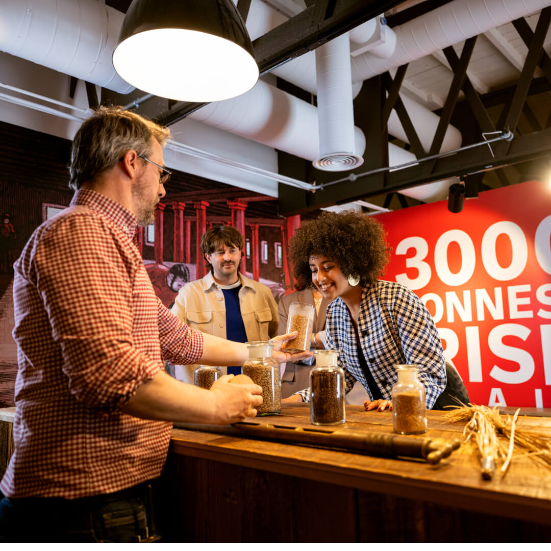 Visitors exploring roasted barley and brewing ingredients during an interactive Smithwick's Experience Kilkenny experience.