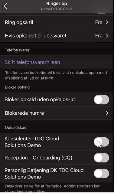 På billedet vises Opkaldskøer i Teams app