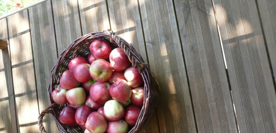 Flettet rottingkurv med røde og grønne epler på solbestrålt treterrasse.