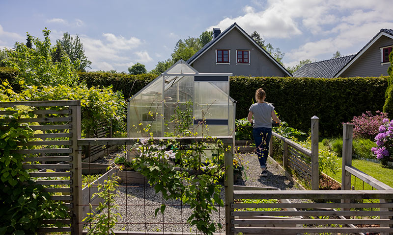 Kvinne i grå T-skjorte går mot gjennomsiktig drivhus i grønn hage med hekker.
