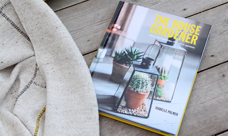 Bok på trebord med gul tittel The House Gardener, kaktus i glasslanterne og kremfarget teppe.