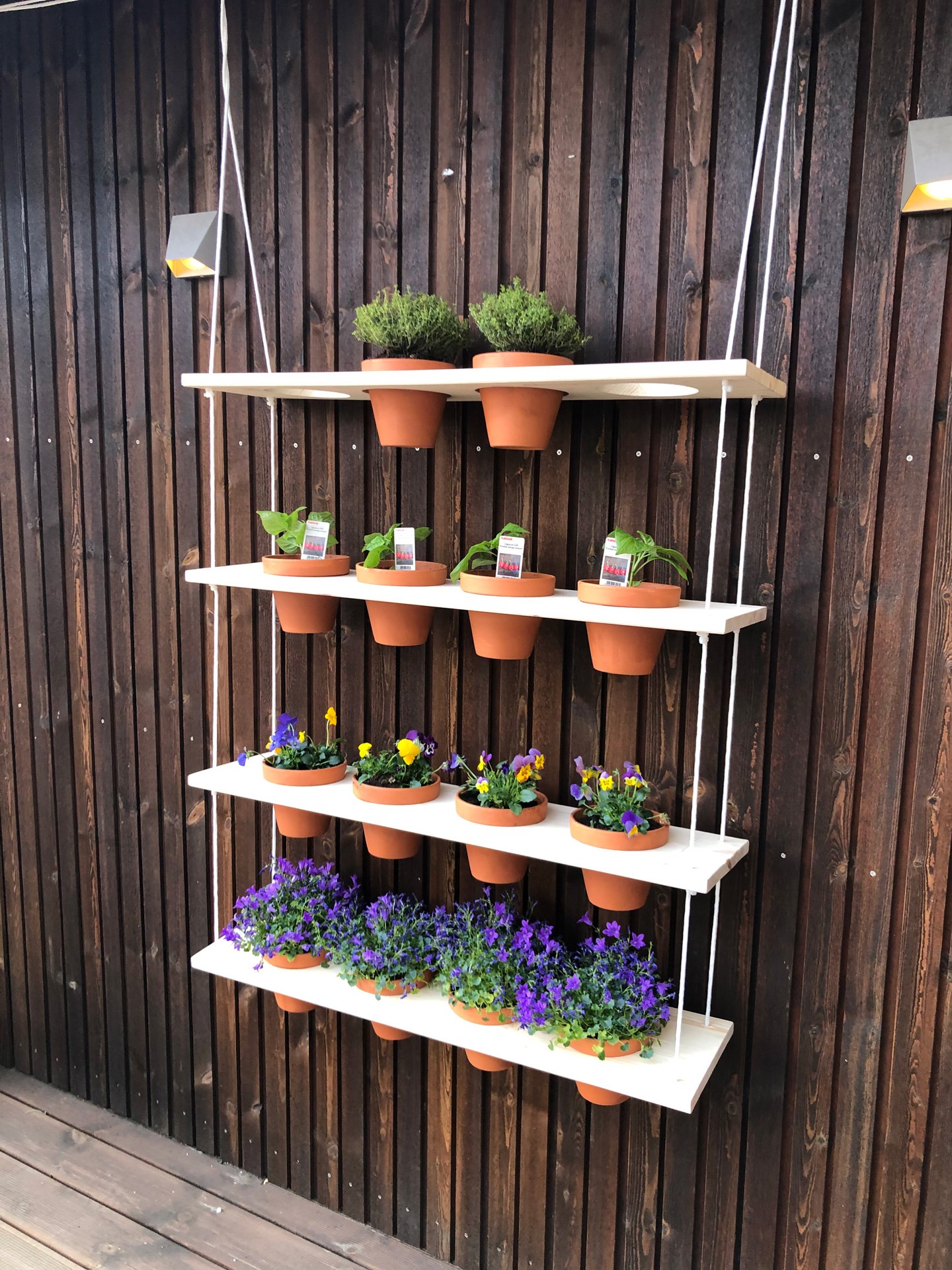 Fire hvite hengende hyller mot brun trevegg med leirkrukker, grønne planter og blå-gule blomster.