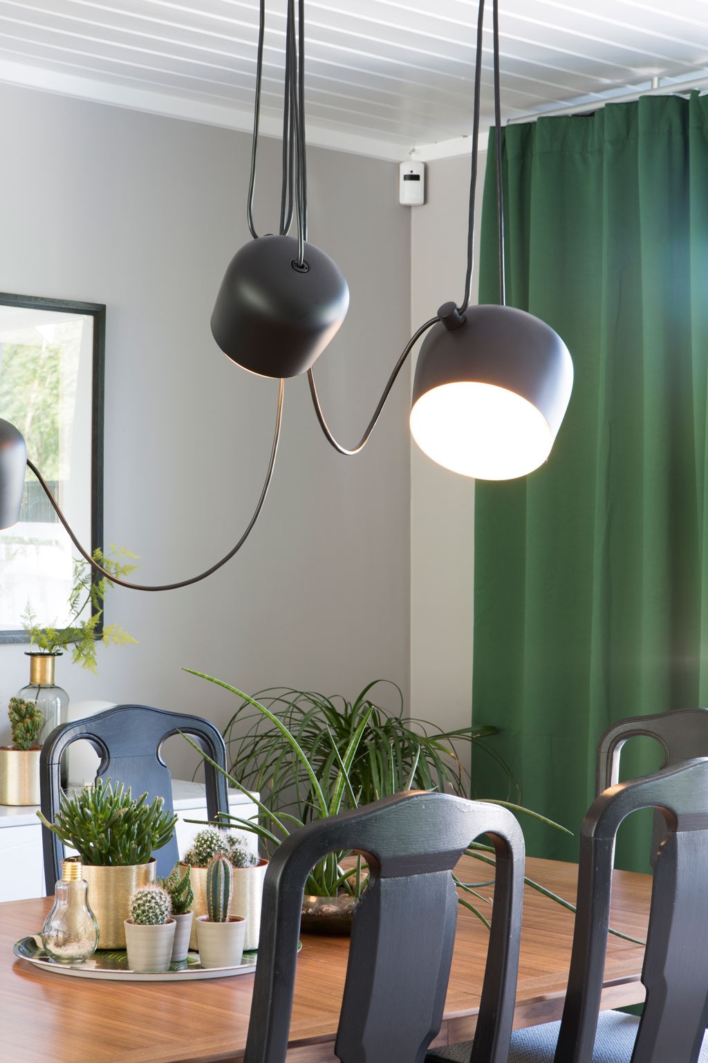 Spisebord i tre med kaktusplanter på sølvfat, hengende sorte lamper foran grønn gardin.
