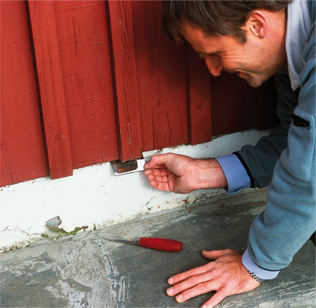 Hånd plasserer liten felle ved rød tømmervegg og hvit grunnmur, rødt verktøy på betong.