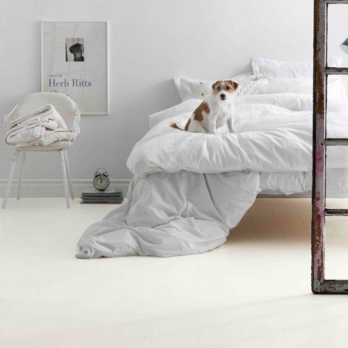 Liten brun- og hvit terrier sitter på hvit dyne i lyst minimalistisk soverom.