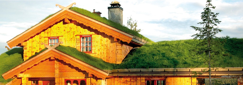 Trehytte i sollys med gresskledd tak, gult treverk, røde vinduskarmer og gran.