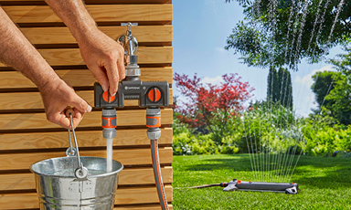 Hånd vrir toveis vannkobler som fyller bøtte. Sprinkler vanner grønt gress ved busker og blå himmel