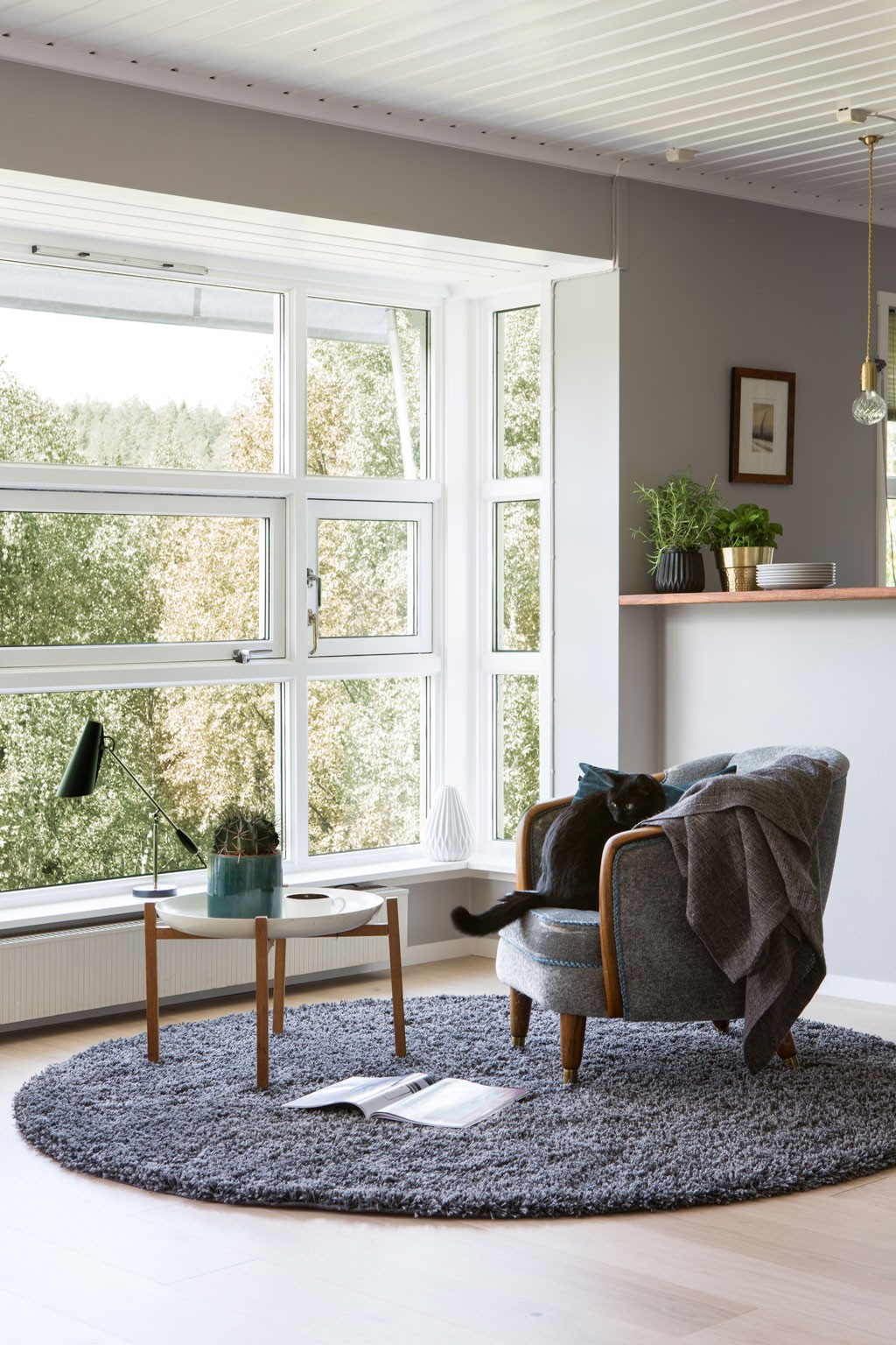 Lyst lesekrok med stort vindu, grå stol med pledd og svart katt på grått teppe.