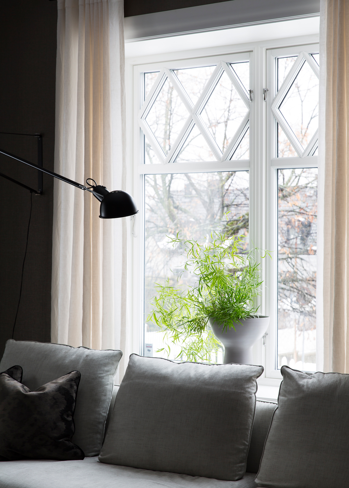 Grå sofa ved stort hvitt vindu med kremhvite gardiner, grønn plante, svart lampe