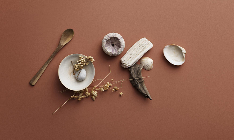 Stilleben med treskje, keramikkbolle med stein og tørkede blomster, skjell og drivved på terrakotta.