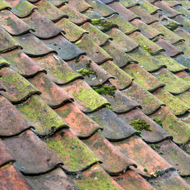 Nærbilde av slitte rødbrune takstein med grønne moseflekker i diagonalt mønster.