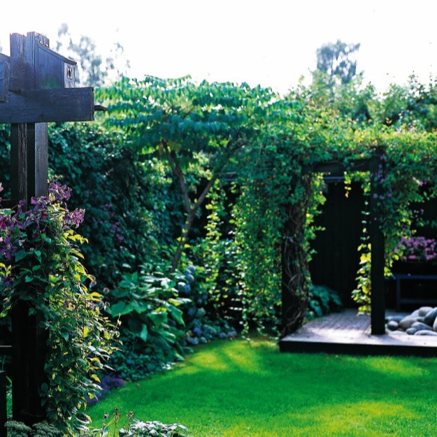 Lummert hageparti med grønn plen, mørkt trepergola kledd i hengende slyngplanter.