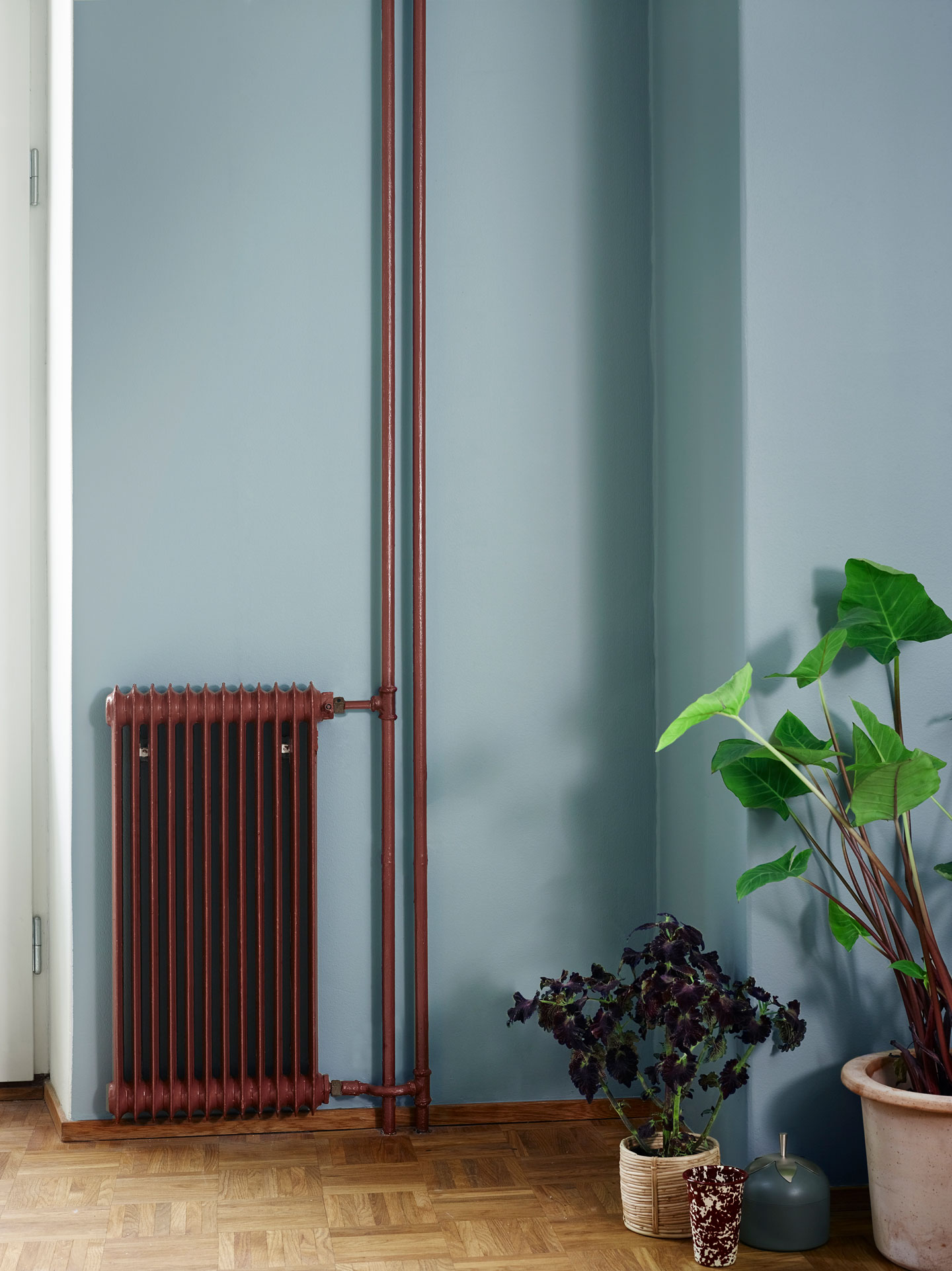 Rustfarget radiator og rør mot blå vegg, parkettgulv med to potteplanter, en grønn og en mørklilla