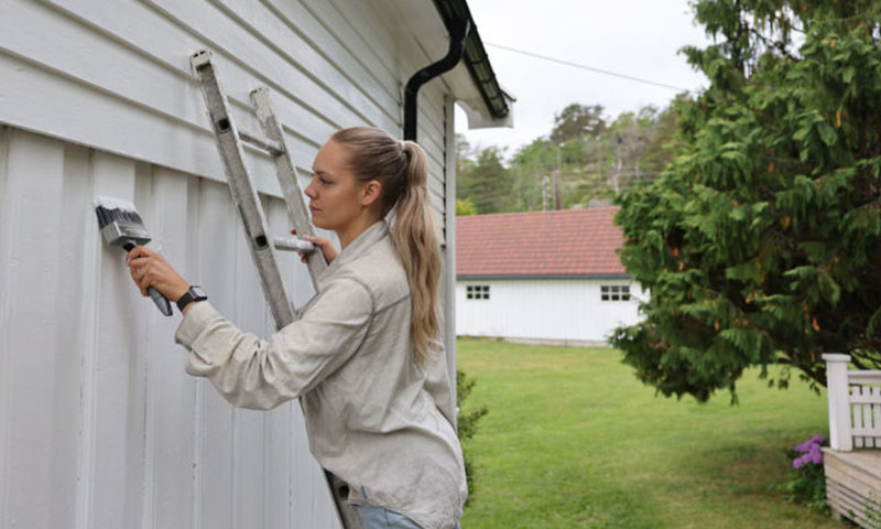 kvinne maler hvitt hus utendørs på stige