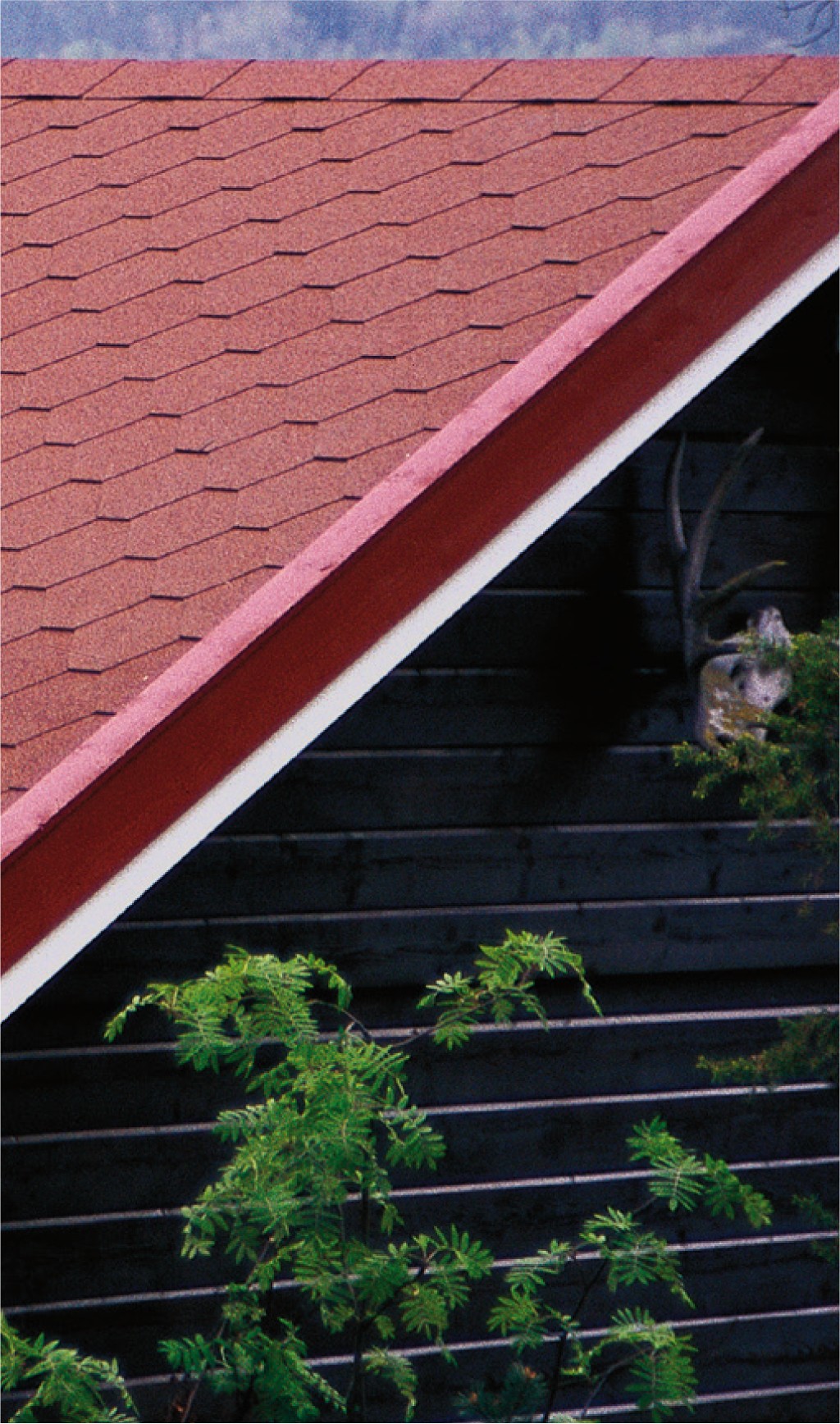 Skrått rødt tak med takstein, mørk trevegg, hjortehode på vegg og grønt løvverk.