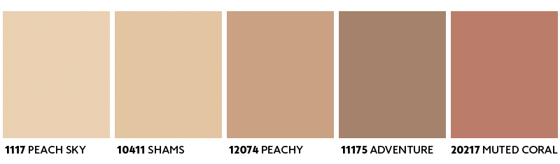 Seksdelte gradient fra lys beige til mørk rødbrun, illustrerer en hudtoneskala.