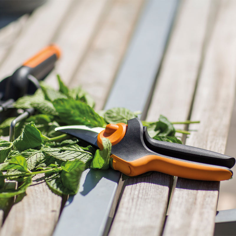 Nærbilde av svart-oransje hagesaks på lyst trebord med nykuttede grønne urter.