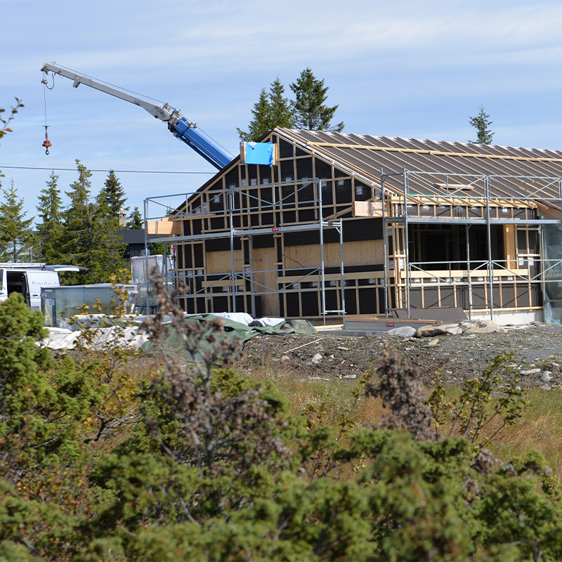 Uferdig trekonstruksjon med stillas og blå kran, furuskog i bakgrunnen.