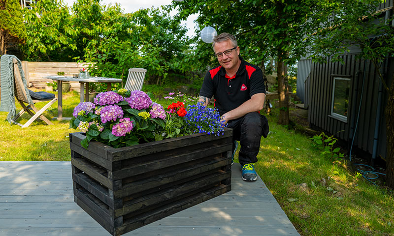 Person i arbeidsklær ordner blomsterrik trekasse med lilla hortensia og blå blomster på terrasse.