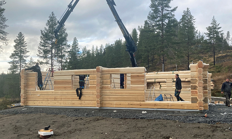 Uferdig laftehytte i lyst tre med kran og arbeidere foran skog under grå himmel