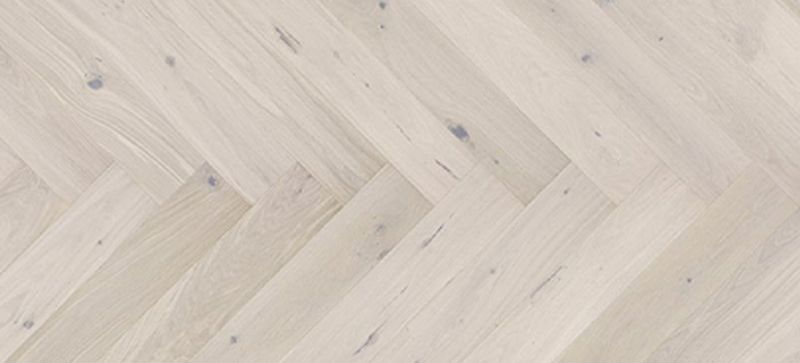 Cello-capp-fisk-800x480