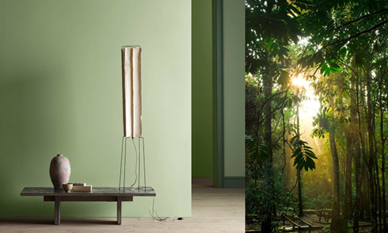 Delt bilde: grønn stue med trebenk, lampe og vase, og sollys i tett regnskog.