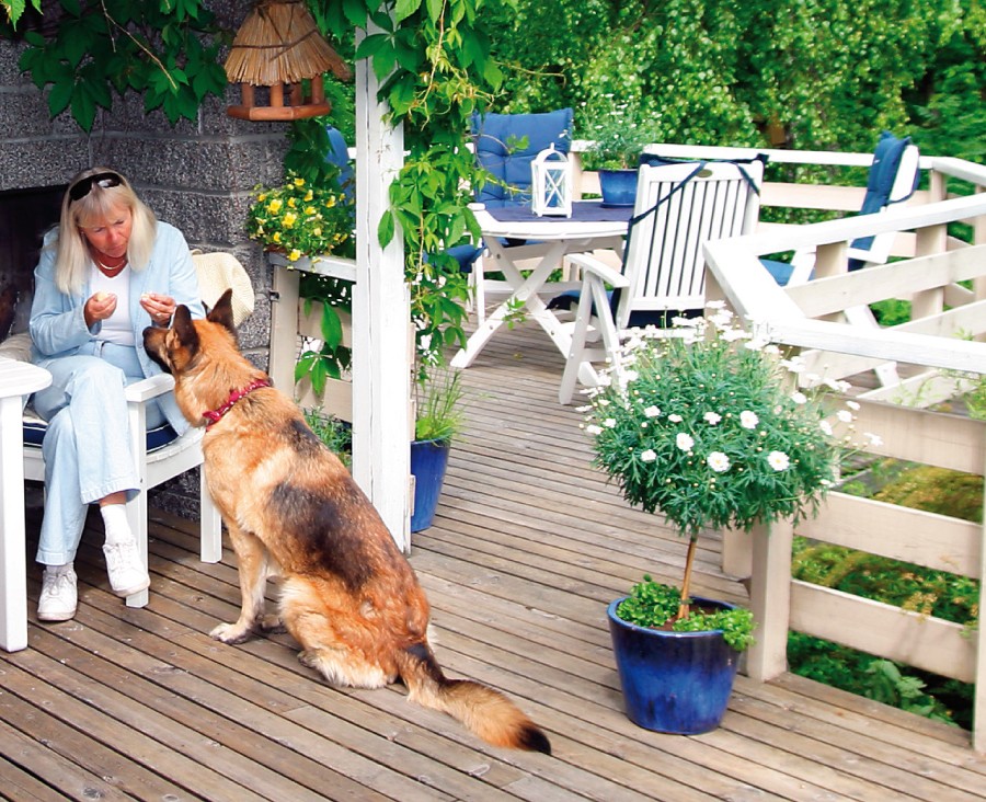 Person i lyse klær på hvit veranda med blå blomsterkrukker og schäferhund ved føttene.