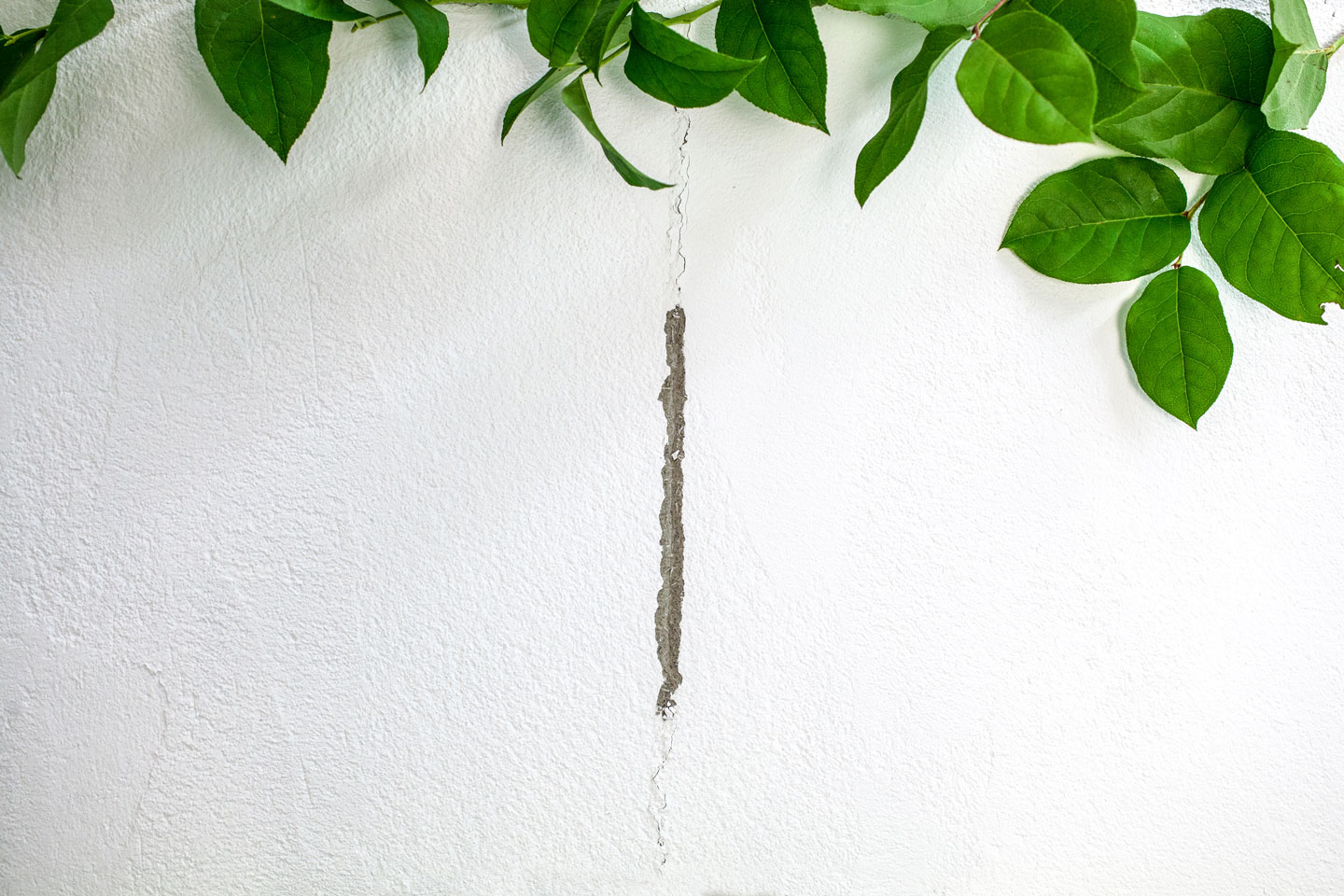 Hvitt teksturert murvegg med smal grå reparasjonsfuge i midten og grønne blader øverst.