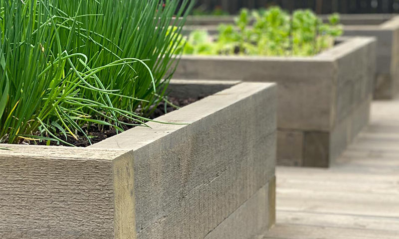 Grå treplantekasser på terrasse med grønn gressløk og andre urter.