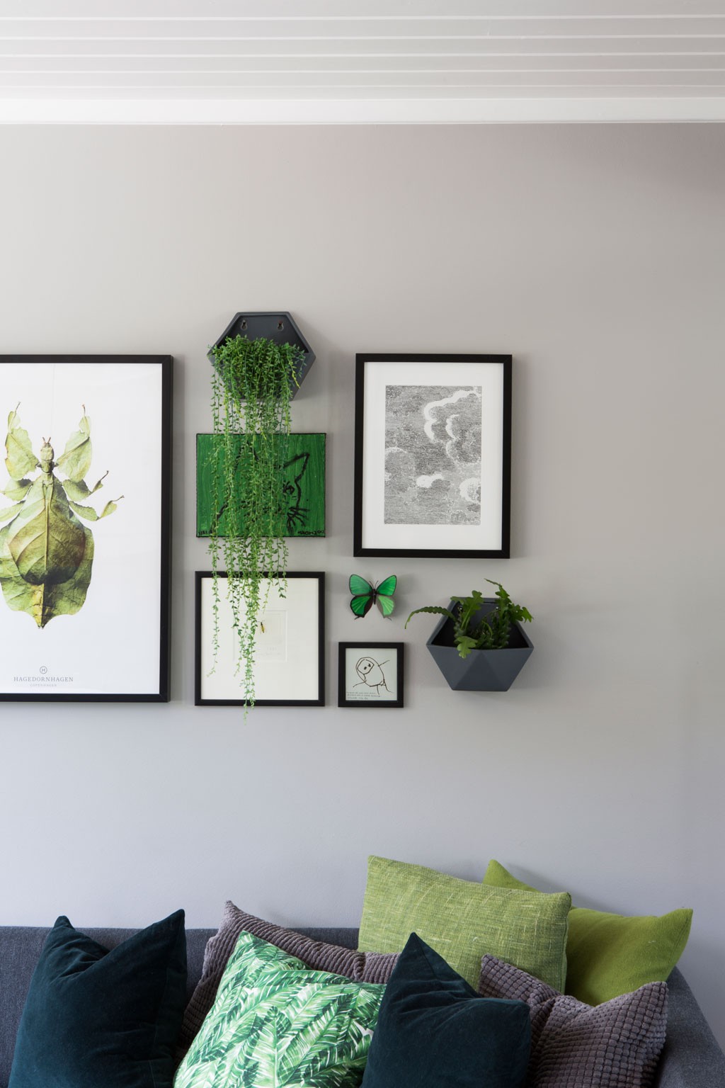 Grå vegg med svart innrammet insektplakat, hengende grønne planter, trykk og sofa med grønne puter