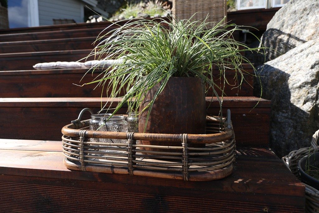 Kurv med rustfarget potteplante og glasskrukker på solbelyst brun tretrapp