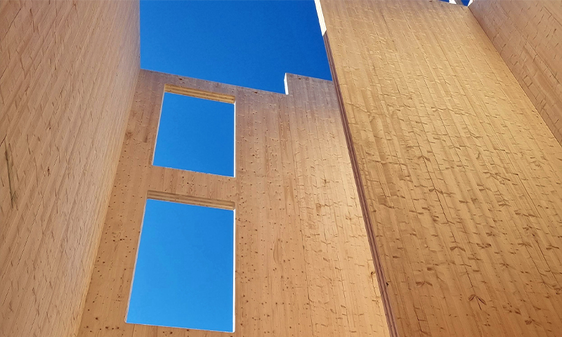 Utsikt oppover mellom lyse tremurer med rektangulære åpninger mot klar blå himmel