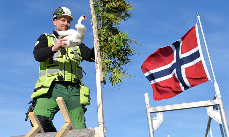 Arbeider i grønt stillas holder hvit gås ved grønne ranker og norsk flagg mot blå himmel